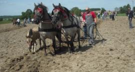 17.05.2009 Norma, Nitka i Nocka prowadzone przez Edwarda Sinkowskiego