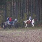 zdjęcie nr 9