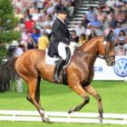 Dressage