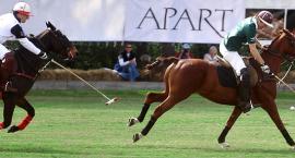 Polo.