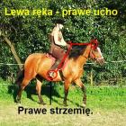 Część I, 2 i 3