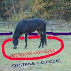 Zdjęcie przedstawiające dystans krytyczny i dystans ucieczki konia