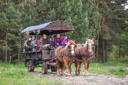 zdjęcie nr 13