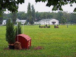 zdjęcie nr 8