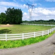 zdjęcie nr 