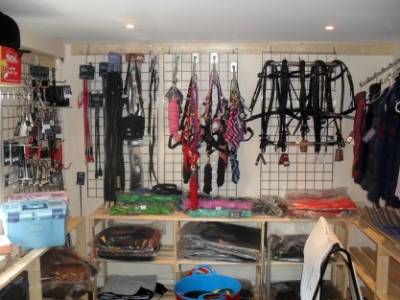Zakład rymarski, ogłoszenia rymarskie, oferty rymarzy | galopuje.pl