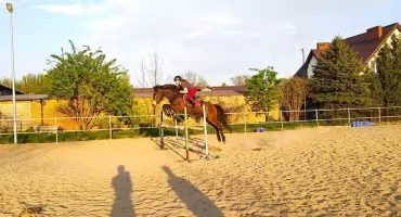 Kalendarz FEI w 2024 roku 