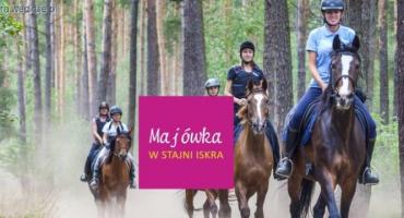 Majówka w siodle - 5 dni, pełen pakiet, 50 koni, las, aktywnie