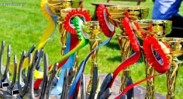 Baltic Cup 2018 / Towarzyskie Zawody w Skokach Przez Przeszkody w Stajni Iskra