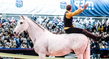 CAVALIADA Kraków - pokazy 
